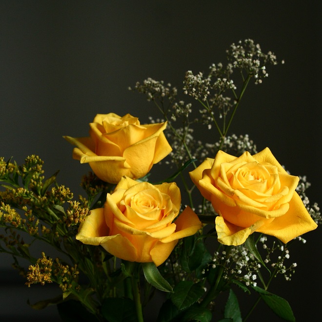 The language of flowers: yellow roses - Cloverhome.nl