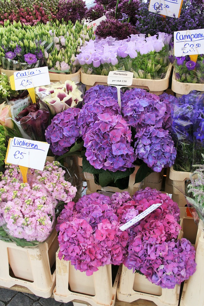 Market days June: summer flowers, purple flowers - Cloverhome.nl