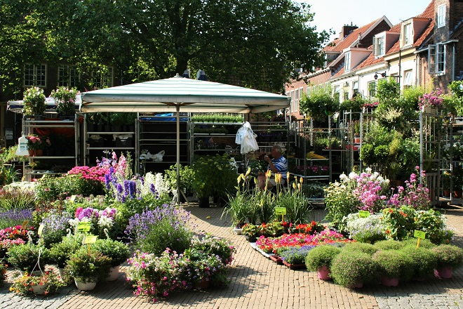 Hold on to summer: the flowermarket - Cloverhome.nl