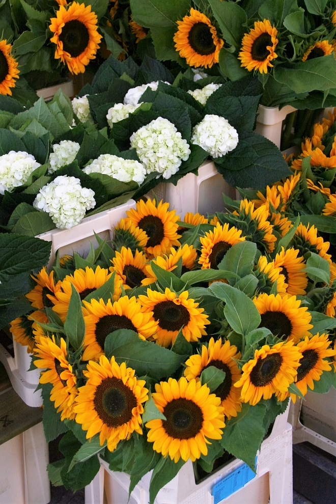 Hold on to summer: sunflowers - Cloverhome.nl