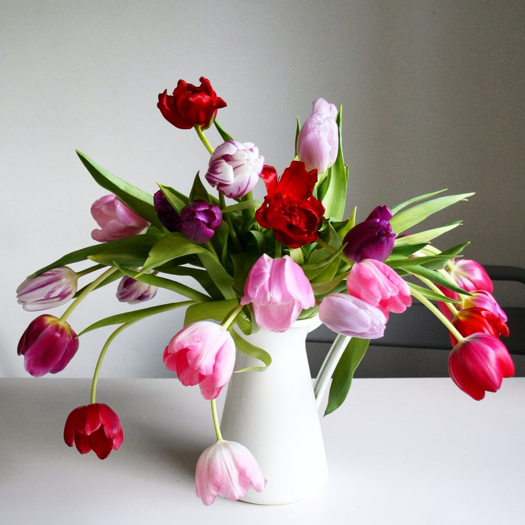 Best flowers for Valentine's Day besides roses: tulips - Cloverhome.nl