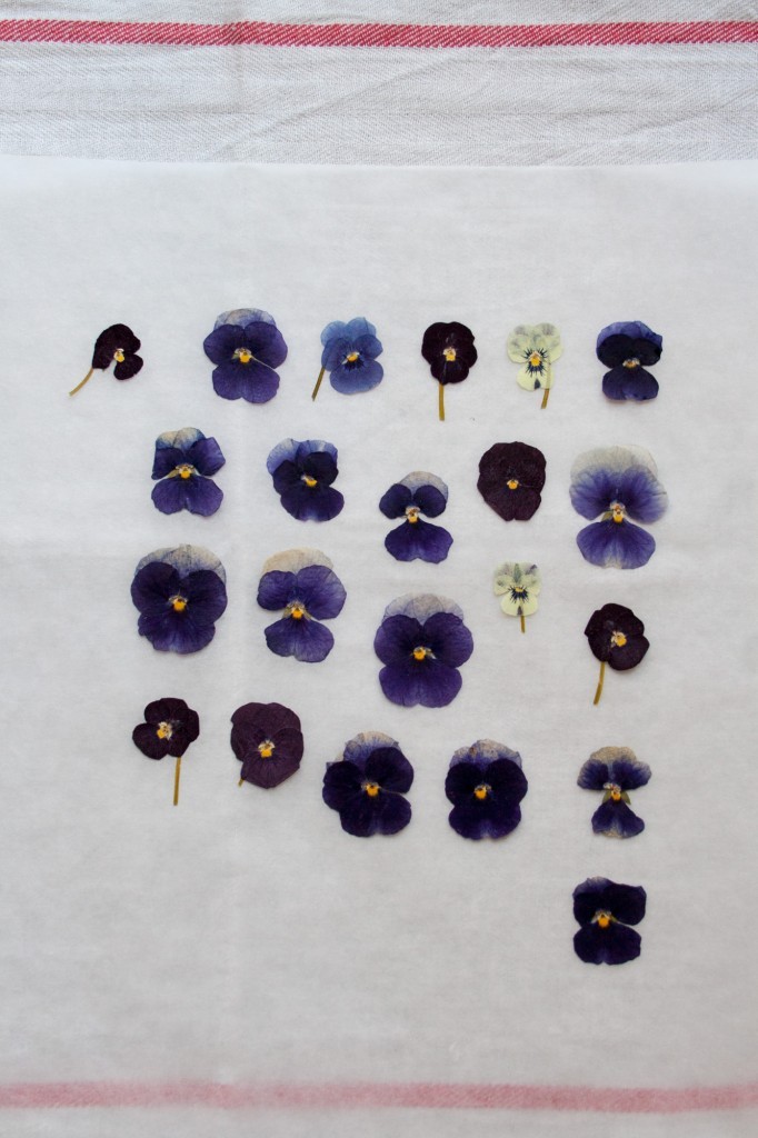 DIY pressed flower Easter eggs – This Easter egg decorating idea is an easy and affordable project. All you need are eggs and pressed flowers. I used pansies because they are some of the best flowers to dry. They are small and flat and they seem to hold their colour very well. Simply apply them to the eggs using wallpaper paste - Cloverhome.nl