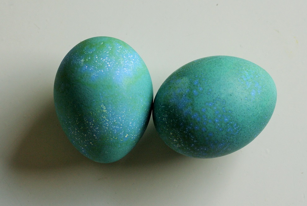 DIY turquoise Easter eggs - These pretty eggs make an easy and inexpensive Easter decoration. All you need are eggs, a simple Easter egg kit and some patience. Turquoise is one of my favourite colours. To create different shades of turquoise, simply vary the time of the eggs in the dye. To achieve even more different hues just transfer the eggs from colour to colour – Cloverhome.nl