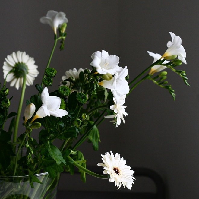 The language of flowers: gerbera, freesia - Cloverhome.nl