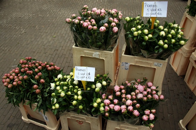Seasonal flowers: peonies - Cloverhome.nl