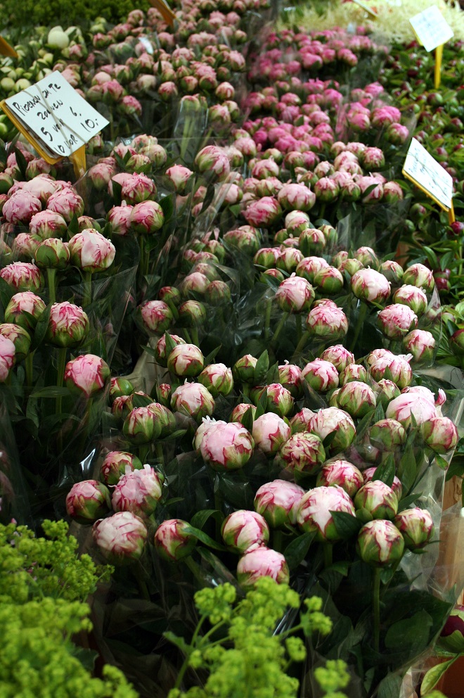 Seasonal flowers: peonies - Cloverhome.nl