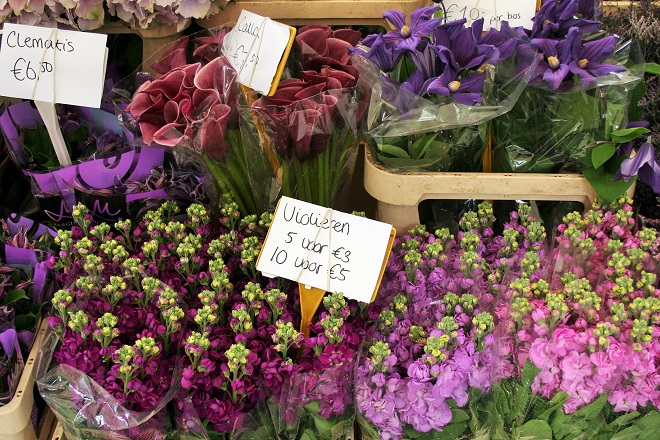 Market days June: summer flowers, purple flowers - Cloverhome.nl