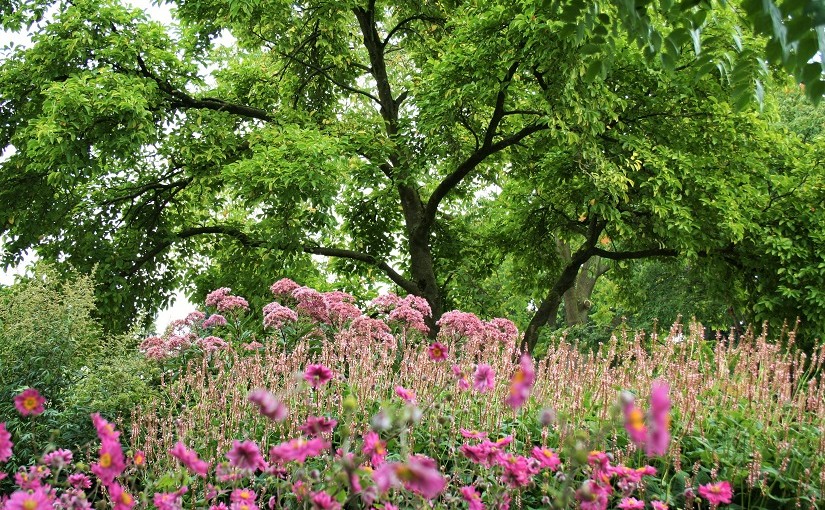 Garden photography: Piet Oudolf garden - Cloverhome.nl