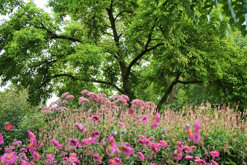 Garden photography: Piet Oudolf garden - Cloverhome.nl
