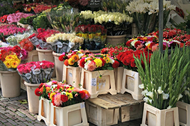 Bring the season into your home with Autumn flowers - Cloverhome.nl