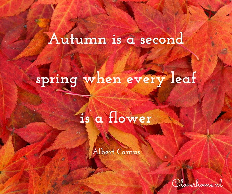 Autumn is a second spring when every leaf is a flower; quote by Albert Camus - Cloverhome.nl