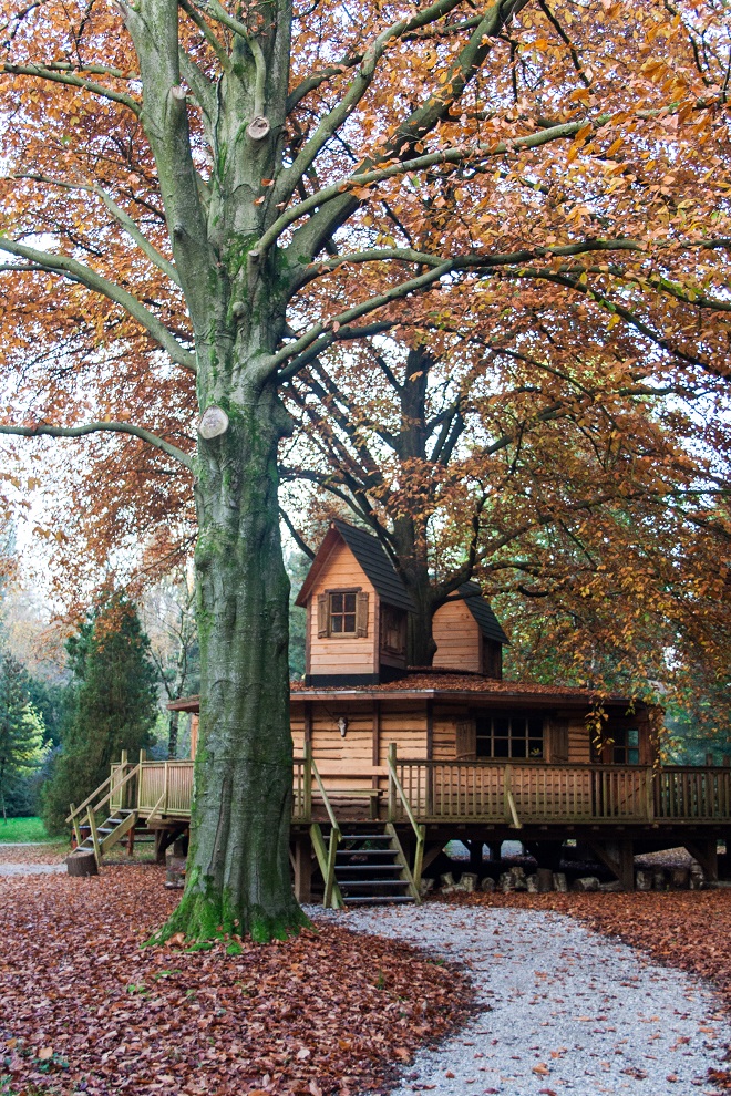 Enjoy autumn colours at the arboretum - Cloverhome.nl