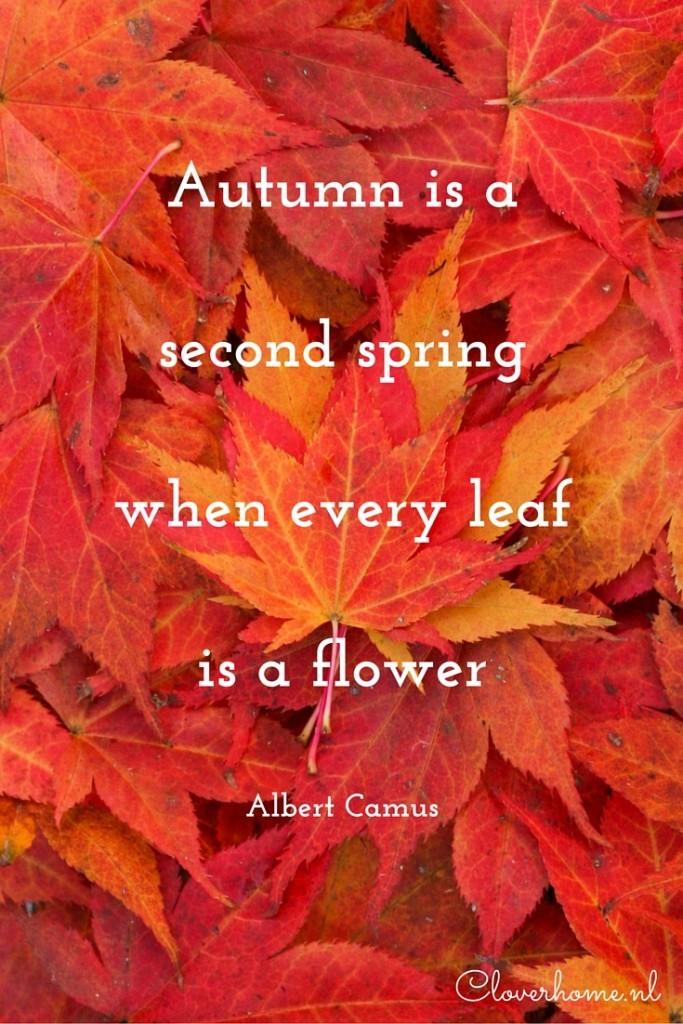 Autumn is a second spring when every leaf is a flower; quote by Albert Camus - Cloverhome.nl