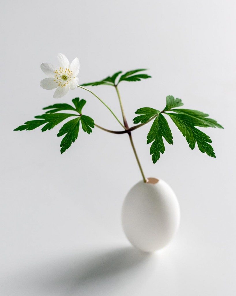 These delicate egg vases are a sweet, easy and inexpensive Easter project. The pure white eggs combine beautifully with delicate flowers and fresh greens - Cloverhome.nl