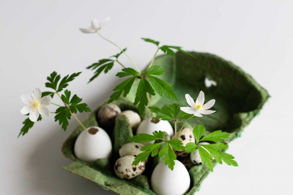 These delicate egg vases are a sweet, easy and inexpensive Easter project. The pure white eggs combine beautifully with delicate flowers and fresh greens - Cloverhome.nl
