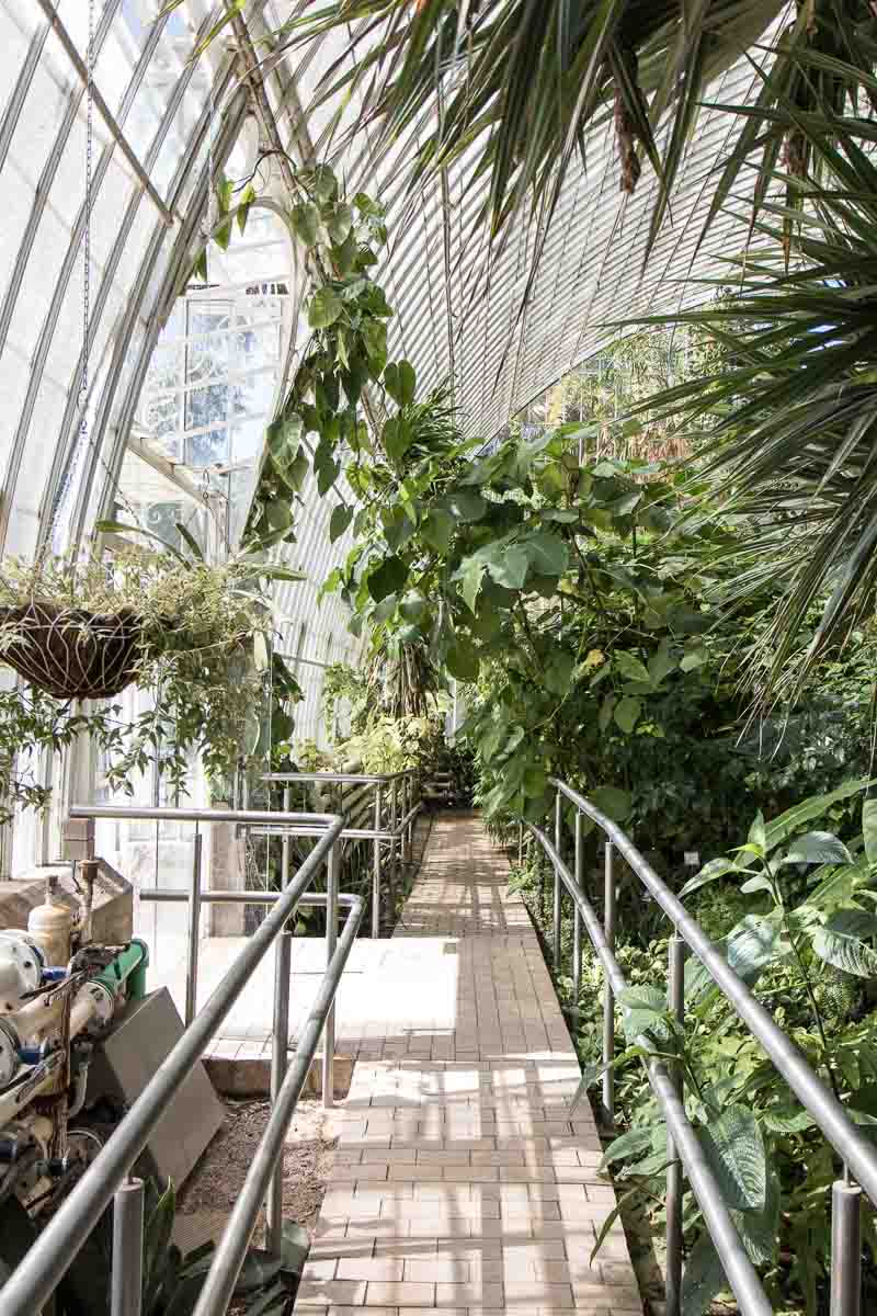 Enjoy the tranquil and serene atmosphere in the Botanical Garden of Valencia. Visit the greenhouses filled with lush, healthy plants - Cloverhome.nl