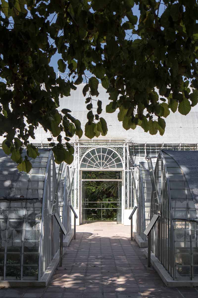 Enjoy the tranquil and serene atmosphere in the Botanical Garden of Valencia. Visit the greenhouses filled with lush, healthy plants - Cloverhome.nl