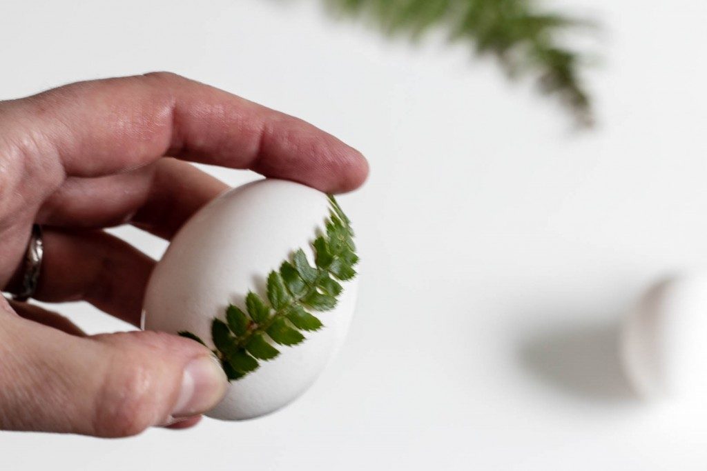 These botanical Easter eggs are an easy and inexpensive Easter decoration. All you need are eggs, egg dye and some leaves from your garden. Use fern leaves or flowers as an imprint - Cloverhome.nl