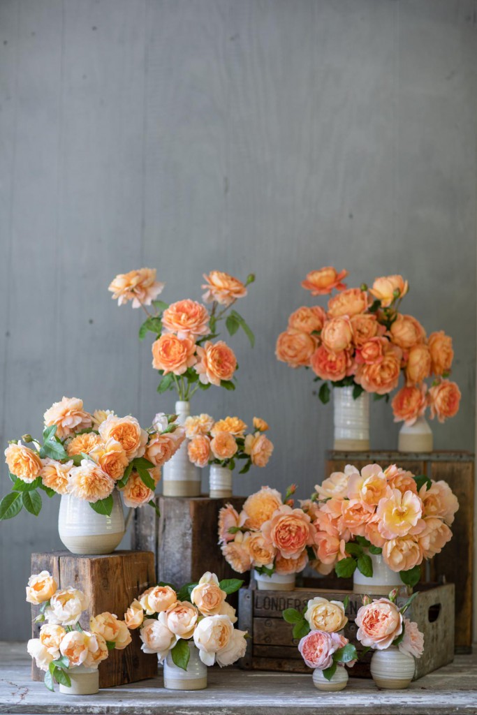 Floret Farm's new book, A Year in Flowers, is all about arranging flowers. It teaches readers how to make stunning bouquets using seasonal blooms - Cloverhome.nl