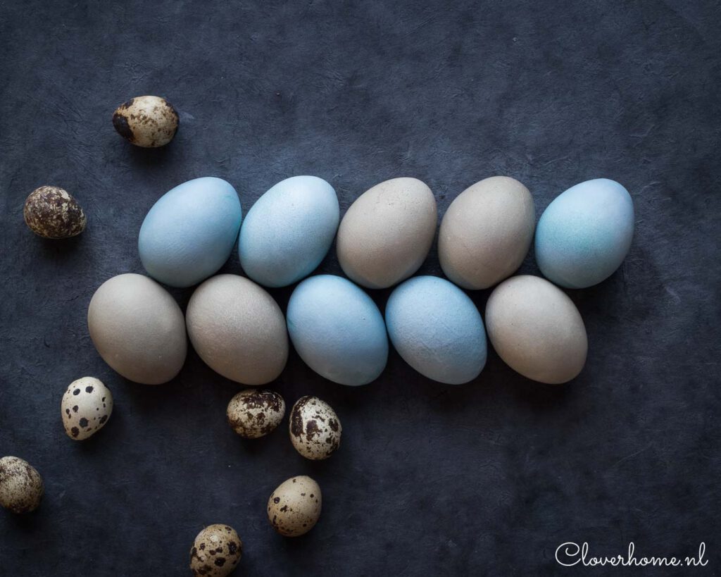 Natural dye Easter eggs - Cloverhome.nl