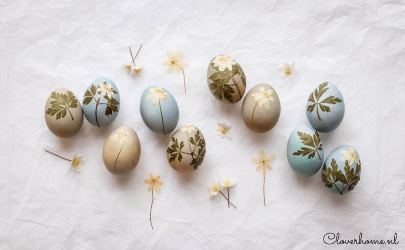 Natural dye Easter eggs with pressed flowers
